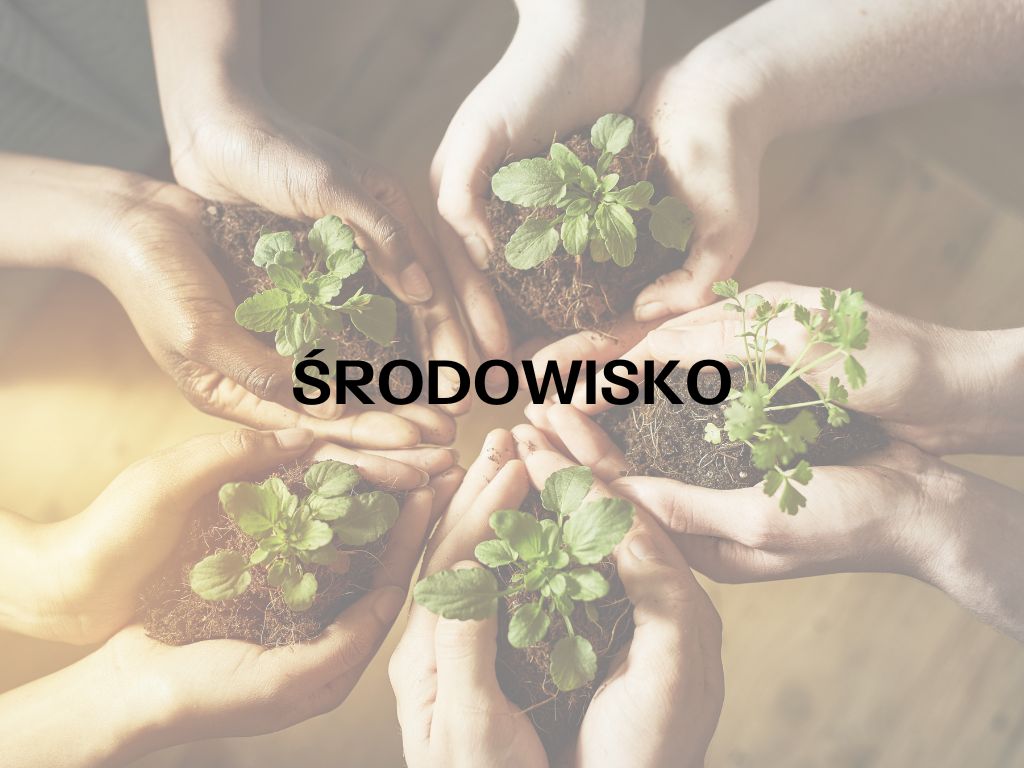 środowisko