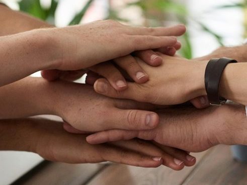 Navigating Diversity